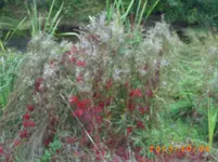 oktob03 003.webp