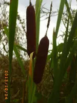 oktob03 009.webp
