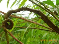 oktob03 023.webp