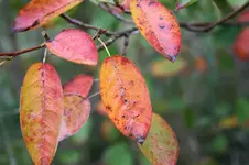 Spaziergang 02.10.13 (3).webp