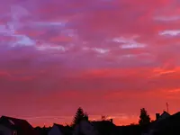 DSCN8310.webp
