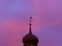 DSCN8308.webp