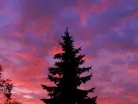 DSCN8303.webp