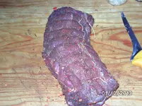 Rollen.webp