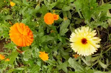 2013_1004Herbst0005 rb.webp