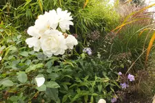2013_1004Herbst0006.webp