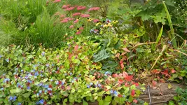 DSCN5723.webp