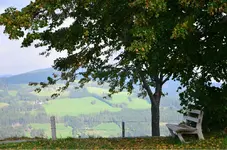 DSC_0337.webp