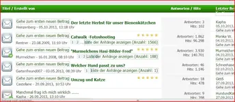 Forum.webp