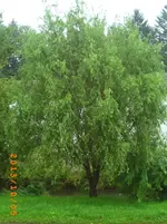 oktob04 019.webp