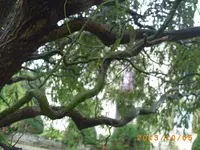 oktob04 004.webp