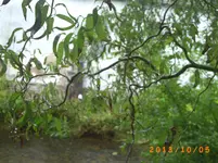 oktob04 002.webp