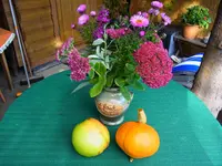 025.webp