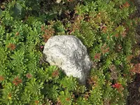 024.webp