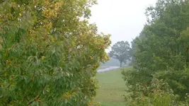 P1100214.webp