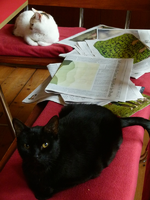 bernardo und claudia02.webp