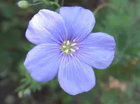 SAM_1030.webp