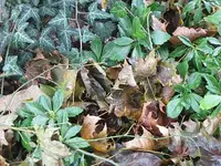 020.webp