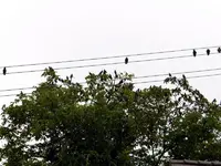 Stare_0002.webp