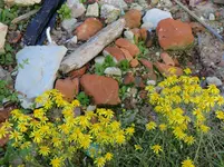 Herbst2013 (1).webp
