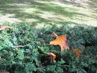 112.webp