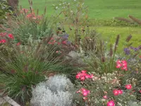 SAM_2259.webp