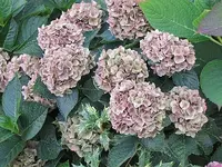 024.webp