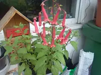 081020131442.webp