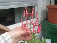 081020131443.webp