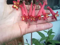 081020131445.webp