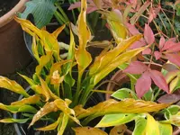 007_1024x768.webp