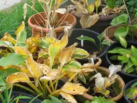 008_1024x768.webp