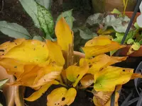 fulda_1024x768.webp