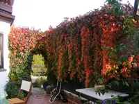 Terrasse 8.10.2013.webp