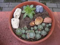 Wurze 8.10.2013.webp