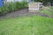 Platz fuer Apfelbaum 08.10.13.webp