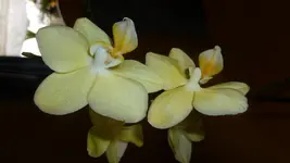 P1100220.webp