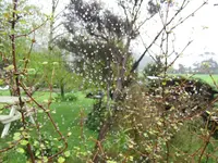 Copy of IMG_0922v.webp