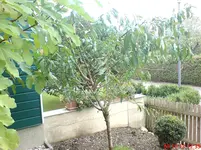 DSC01882.webp