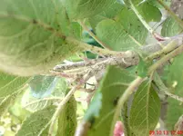 DSC01883.webp