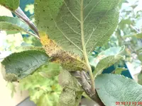 DSC01881.webp