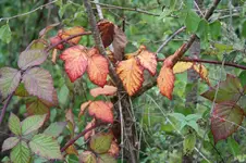 09.10.13 (5).webp