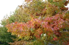 09.10.13 (9).webp