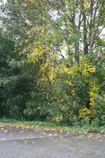 09.10.13 (11).webp