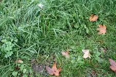 09.10.13 (14).webp