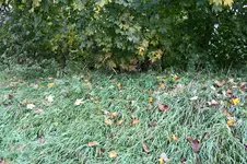 09.10.13 (15).webp