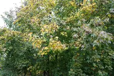 09.10.13 (16).webp