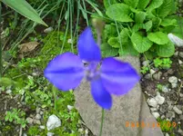 oktob06 023.webp