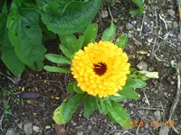 oktob06 036.webp