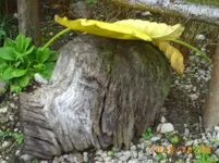 oktob06 026.webp